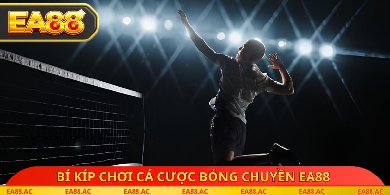 Bí kíp chơi cá cược bóng chuyền EA88