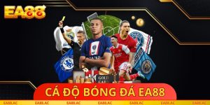 Cá Độ Bóng Đá EA88