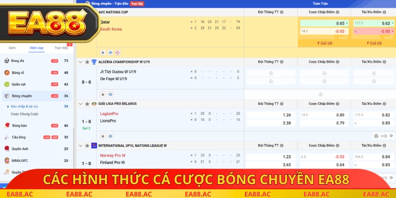 Các hình thức cá cược bóng chuyền EA88