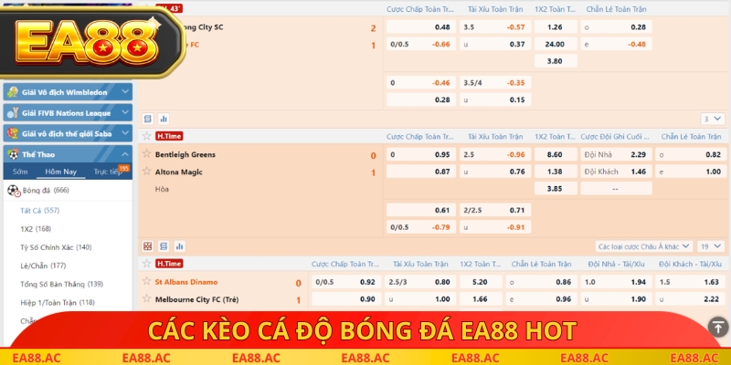 Các kèo cá độ bóng đá EA88 hot