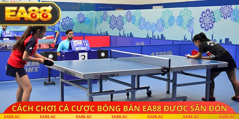 Cách chơi cá cược bóng bàn EA88 được săn đón