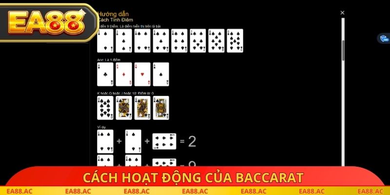 Cách hoạt động của Baccarat