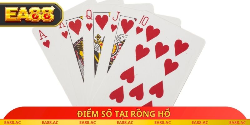 Điểm số tại Rồng hổ
