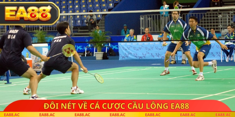 Đôi nét về cá cược cầu lông EA88