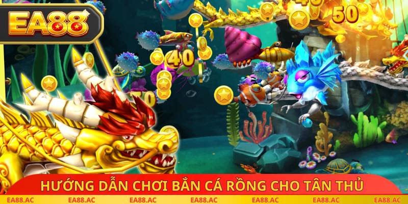 Hướng dẫn chơi bắn cá rồng cho tân thủ