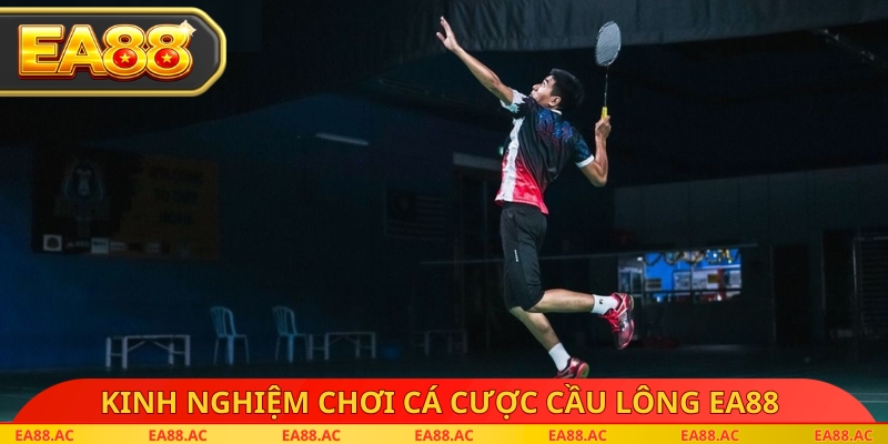 Kinh nghiệm chơi cá cược cầu lông EA88