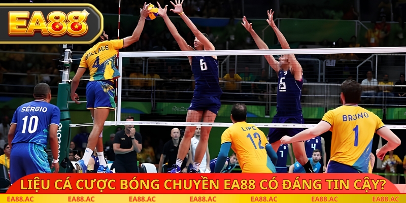 Liệu cá cược bóng chuyền EA88 có đáng tin cậy?