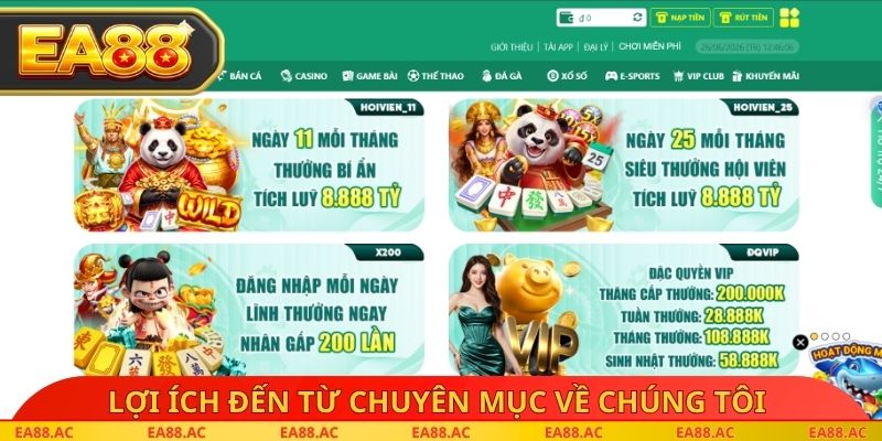 Lợi ích hấp dẫn đến từ chuyên mục về chúng tôi