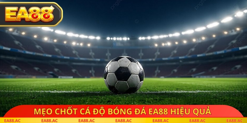 Mẹo chốt cá độ bóng đá EA88 hiệu quả