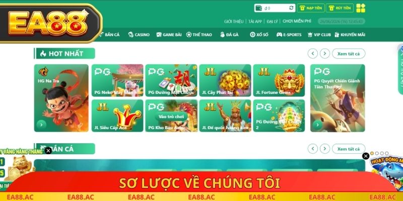 Sơ lược về chúng tôi
