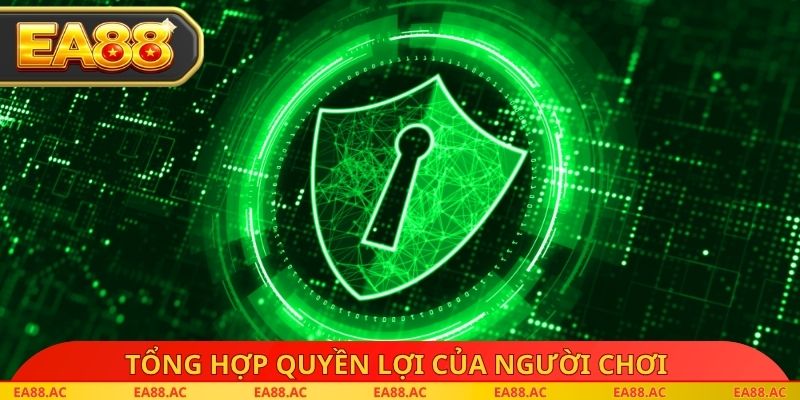 Tổng hợp quyền lợi của người chơi về chính sách bảo mật